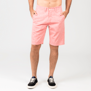 Bermuda Penguin Chino